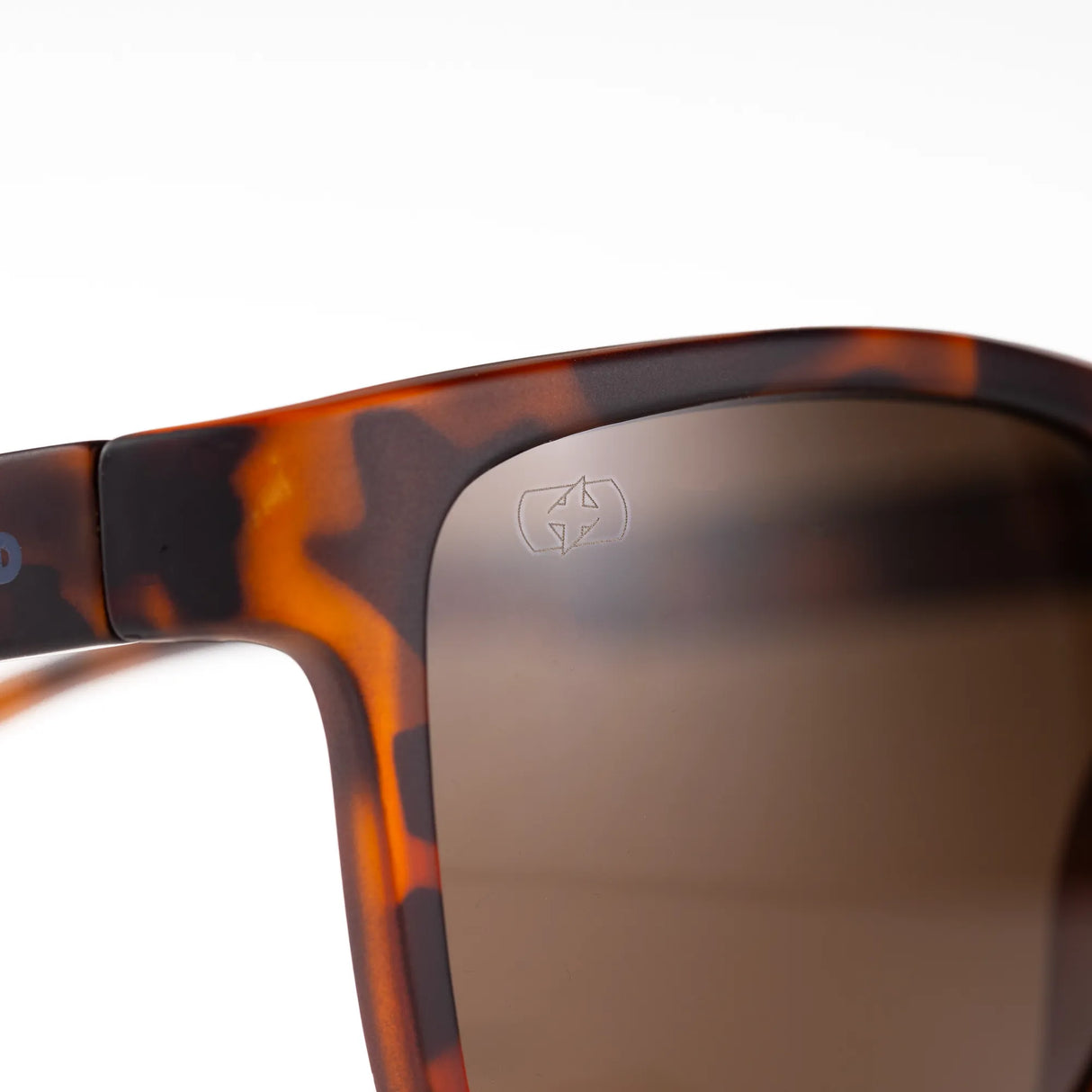 Oxford Sahara Sunglasses Tortoiseshell Frame Bworn Lens